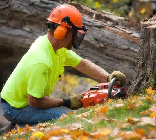 tree services Robbins